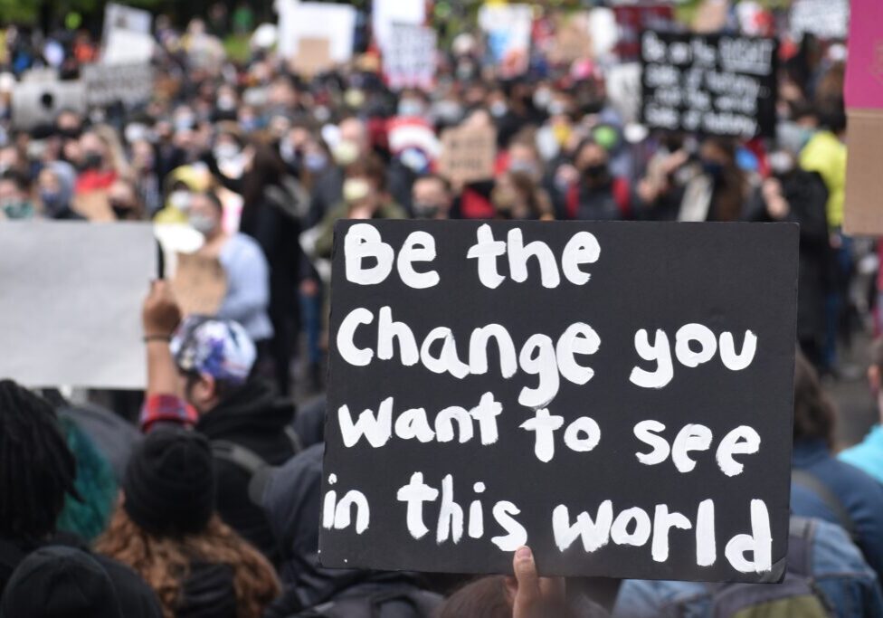 pexels-ariel-knox-4883086