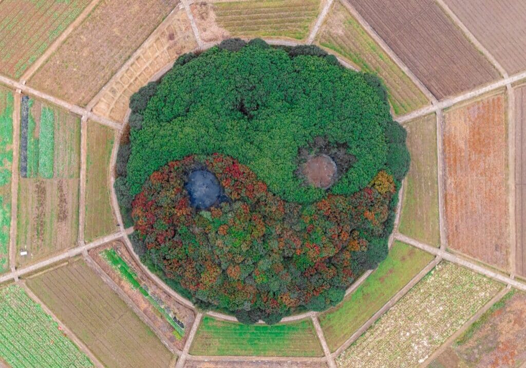 pexels-岳-趙-6840604